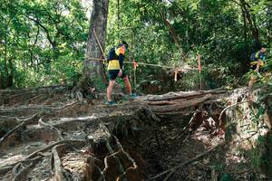 BIB: 
                            <button type="button" onclick="openModal(27799946)" class="btn btn-primary btn-sm float-right btn-popup" data-toggle="modal" data-target=".modal-high-quality">
                        <i class="fas fa-shopping-cart"></i> Add to Cart
                    </button>
                                            <button type="button" onclick="isThisMe(27799946, true)" class="btn btn-success btn-sm float-right btn-popup btn-isme hidden" data-toggle="tooltip" data-placement="bottom" title="นี่คือรูปของคุณใช่ไหม คลิกที่นี่เพื่อเอาเข้าอัลบั้ม">
                        <i class="fas fa-plus"></i> Add to album
                    </button>
                    <button type="button" onclick="isThisMe(27799946, false)" class="btn btn-warning btn-sm float-right btn-popup btn-isnotme hidden">
                        <i class="fas fa-ban"></i> Remove from album
                    </button>